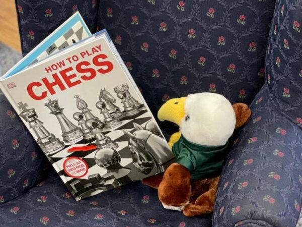 Eagle stuffed animal reading a book