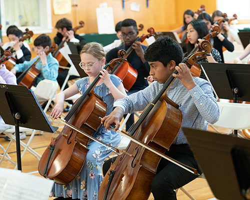 Musicians playing cello at concert