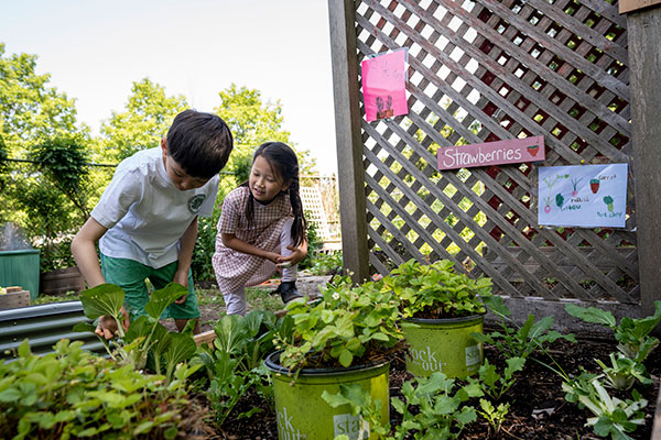 Two young students working in the garden.