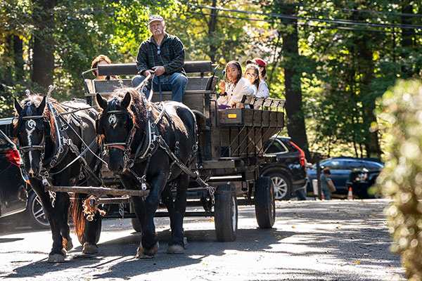 Horse-drawn carriage ride during Fall Festival