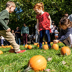 Fall Festival calendar thumbnail